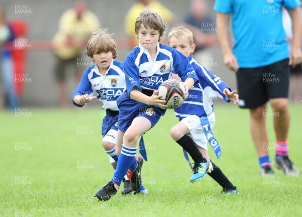 260812 - Colin Hillman 7s, Bridgend - Kenfig Hill u8s v Bridgend Sports u8s tag rugby match