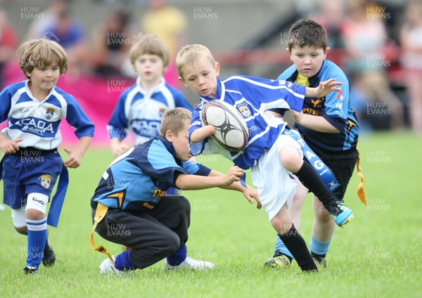 260812 - Colin Hillman 7s, Bridgend - Kenfig Hill u8s v Bridgend Sports u8s tag rugby match