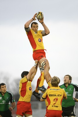 17.03.10 Connacht v Dragons... Dragons Rob Sidoli wins a lineout. 