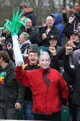 060414 - Cornish Pirates v Pontypridd, British and Irish Cup Quarter Final - Pontypridd supporters include a Royal fan as they cheer the team at the end of the match