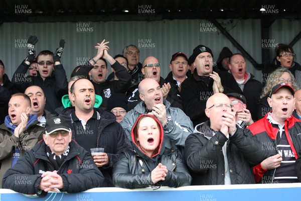 060414 - Cornish Pirates v Pontypridd, British and Irish Cup Quarter Final - Pontypridd supporters cheer the team at the end of the match