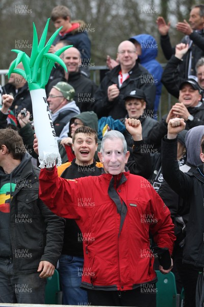 060414 - Cornish Pirates v Pontypridd, British and Irish Cup Quarter Final - Pontypridd supporters include a Royal fan as they cheer the team at the end of the match