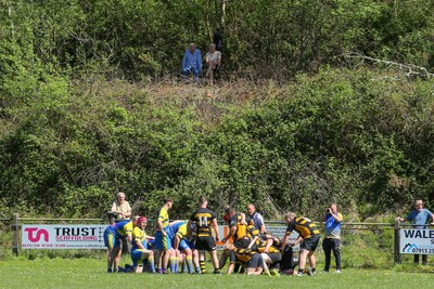 250426 - Cwmgwrach v Pontrhydyfen - Admiral National League 5 West Central - Cwmgwrach RFC play their final fixture at home 