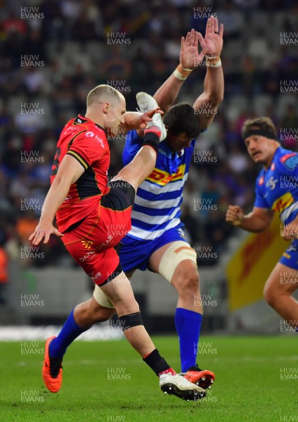 160525 - DHL Stormers v Cardiff Rugby - United Rugby Championship - Aled Davies of Cardiff Rugby