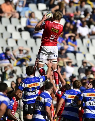 241026 - DHL Stormers v Scarlets - United Rugby Championship Quarter Final - Taine Plumtree of the Scarlets