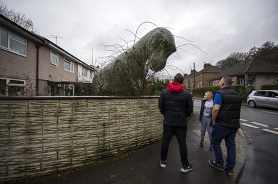 Dinosaur Cwmbran 030319