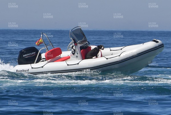 170521 - Coastguards rescue out of control Zodiac boat, Almunecar, Spain - An out-of-control Zodiac boat, with a dog on board, circling out of control approximately 300 metres from the coast in Almunecar