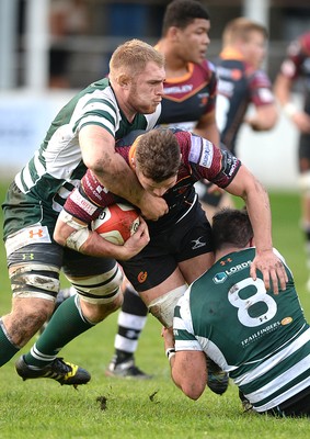 221016 - Dragons Premiership Select v Ealing - British & Irish Cup -Andrew Waite of Dragons Premiership Select is tackled by Scott Andrews and Chris York