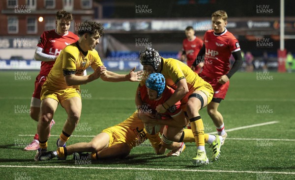 120226 - Dragons RFC U18 v Scarlets U18, WRU Regional Age Grade Championship 3rd and 4th place play off - Ryan Lanfear of Scarlets powers over to score try