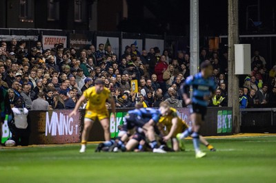 171025 - Dragons RFC v Cardiff Rugby - United Rugby Championship - Fans on the terrace