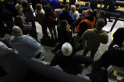 171025 - Dragons RFC v Cardiff Rugby - United Rugby Championship - Fans on the terrace