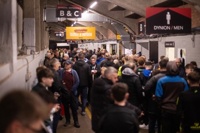 171025 - Dragons RFC v Cardiff Rugby - United Rugby Championship - Fans on the terrace