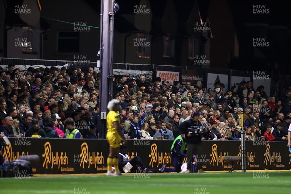 171025 - Dragons RFC v Cardiff Rugby - United Rugby Championship - Fans on the terrace