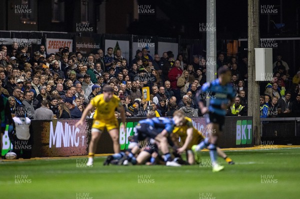 171025 - Dragons RFC v Cardiff Rugby - United Rugby Championship - Fans on the terrace