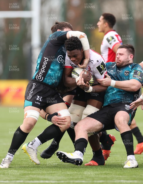 220123 - Dragons RFC v Emirates Lions, EPCR Challenge Cup - Emmanuel Tshituka of Emirates Lions is held by Rob Evans of Dragons and Taine Basham of Dragons