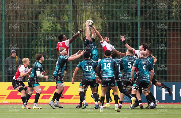 220123 - Dragons RFC v Emirates Lions, EPCR Challenge Cup - Dragons and Lions contest a line out