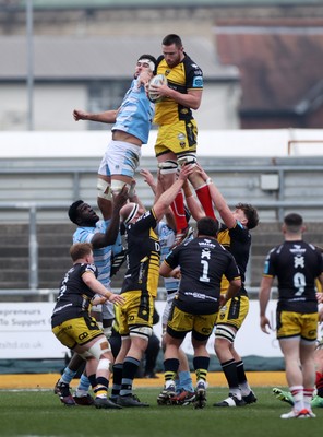 160225 - Dragons RFC v Glasgow Warriors - United Rugby Championship - George Nott of Dragons wins the line out