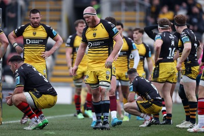 160225 - Dragons RFC v Glasgow Warriors - United Rugby Championship - Joe Davies of Dragons looks on dejected after Glasgow score a try