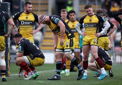 160225 - Dragons RFC v Glasgow Warriors - United Rugby Championship - Joe Davies of Dragons looks on dejected after Glasgow score a try