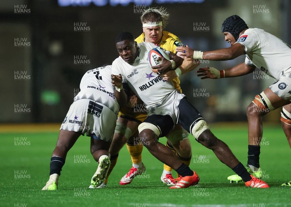 031025 - Dragons RFC v Hollywoodbets Sharks, United Rugby Championship - Emmanuel Tshituka of Hollywoodbets Sharks is held