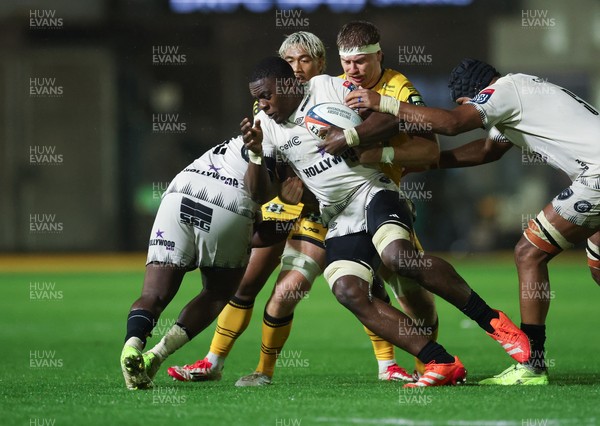 031025 - Dragons RFC v Hollywoodbets Sharks, United Rugby Championship - Emmanuel Tshituka of Hollywoodbets Sharks is held