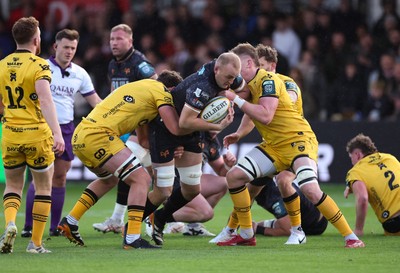 251025 - Newport RFC v Ospreys, United Rugby Championship - Huw Sutton of Ospreys