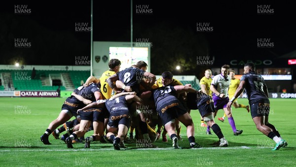 251025 - Newport RFC v Ospreys, United Rugby Championship - Dragons celebrate as Oli Burrows of Dragons powers over to score try
