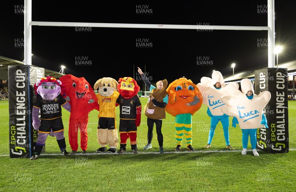 091223  - Dragons RFC v Oyonnax Rugby, EPCR Challenge Cup - Mascot Race