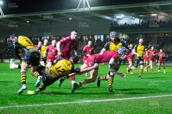 010124 - Dragons RFC v Scarlets - United Rugby Championship - Tom Rogers of Scarlets scores a try