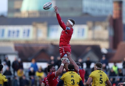 010126 - Dragons RFC v Scarlets - United Rugby Championship - Taine Plumtree of Scarlets wins the line out
