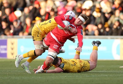 010126 - Dragons RFC v Scarlets - United Rugby Championship - Taine Plumtree of Scarlets is tackled by Harri Keddie of Dragons 