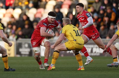 010126 - Dragons RFC v Scarlets - United Rugby Championship - Fletcher Anderson of Scarlets 