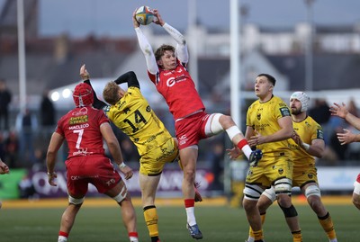 010126 - Dragons RFC v Scarlets - United Rugby Championship - Ellis Mee of Scarlets gets the loose ball