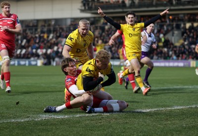 010126 - Dragons RFC v Scarlets - United Rugby Championship - David Richards of Dragons dives over the line to score a try