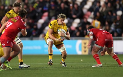 010126 - Dragons RFC v Scarlets - United Rugby Championship - Ryan Woodman of Dragons 