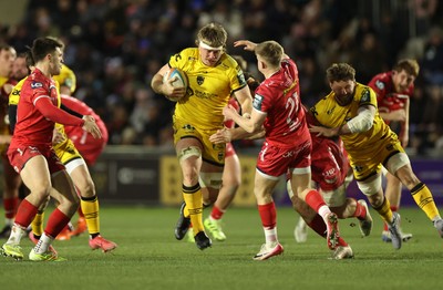 010126 - Dragons RFC v Scarlets - United Rugby Championship - Aaron Wainwright of Dragons is tackled by Archie Hughes of Scarlets 