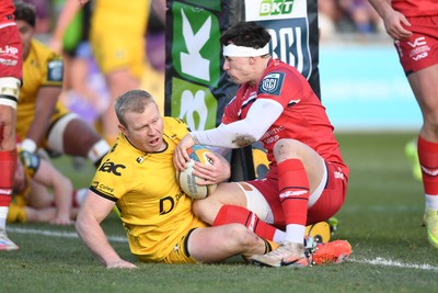010126 - Dragons RFC v Scarlets - United Rugby Championship - Tinus De Beer of Dragons dives in to scores the first try of the game