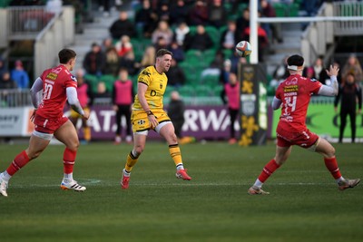 010126 - Dragons RFC v Scarlets - United Rugby Championship - Angus O'Brien of Dragons