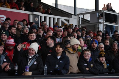 010126 - Dragons RFC v Scarlets - United Rugby Championship - Fans
