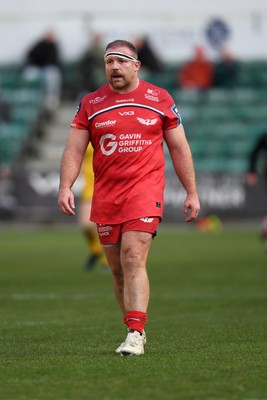 010126 - Dragons RFC v Scarlets - United Rugby Championship - Henry Thomas of Scarlets