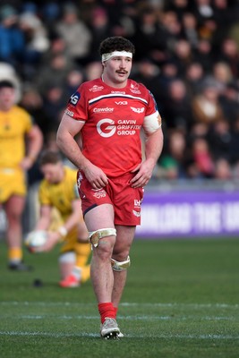 010126 - Dragons RFC v Scarlets - United Rugby Championship - Max Douglas of Scarlets