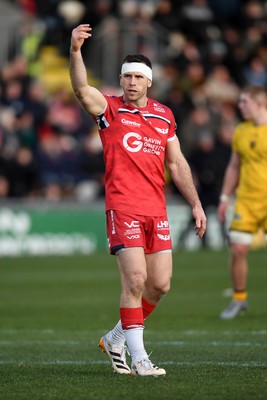 010126 - Dragons RFC v Scarlets - United Rugby Championship - Gareth Davies of Scarlets