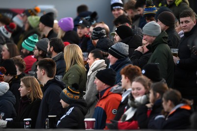 010126 - Dragons RFC v Scarlets - United Rugby Championship - A packed out Rodney Parade