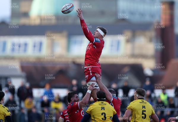 010126 - Dragons RFC v Scarlets - United Rugby Championship - Taine Plumtree of Scarlets wins the line out