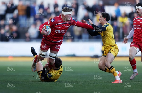 010126 - Dragons RFC v Scarlets - United Rugby Championship - Taine Plumtree of Scarlets is tackled by  Ewan Rosser and Che Hope of Dragons 