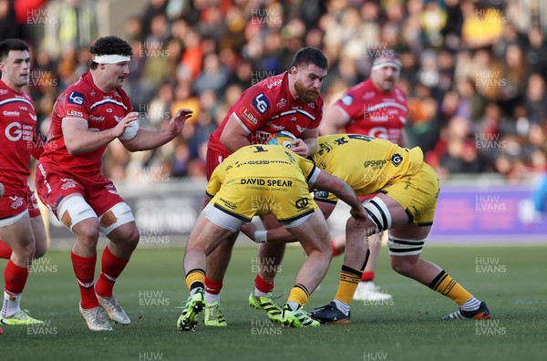 010126 - Dragons RFC v Scarlets - United Rugby Championship - Kemsley Mathias of Scarlets is tackled by Rodrigo Martinez and Ryan Woodman of Dragons 
