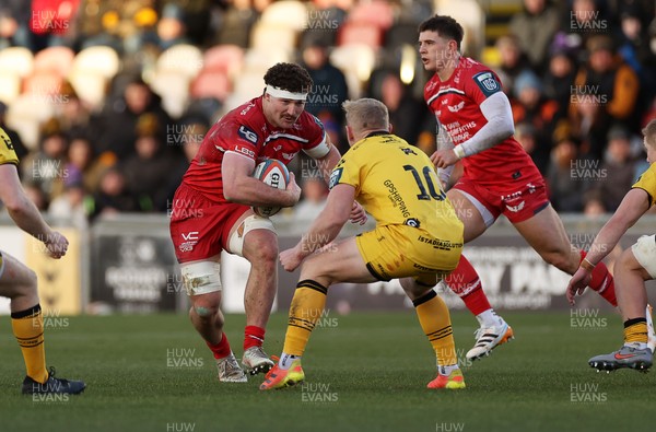 010126 - Dragons RFC v Scarlets - United Rugby Championship - Fletcher Anderson of Scarlets 