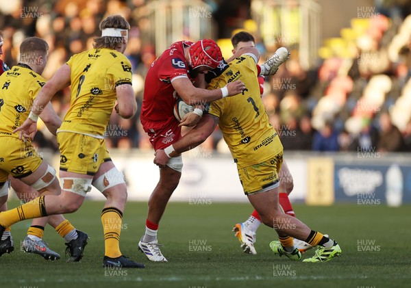 010126 - Dragons RFC v Scarlets - United Rugby Championship - Josh Maceloed of Scarlets is tackled by Rodrigo Martinez of Dragons 