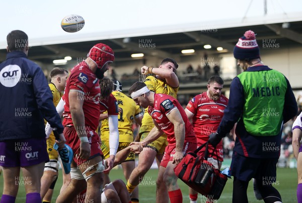 010126 - Dragons RFC v Scarlets - United Rugby Championship - Ollie Burrows of Dragons celebrates scoring a try