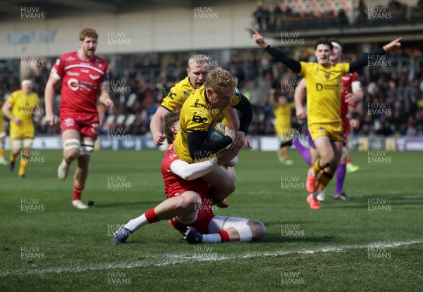 010126 - Dragons RFC v Scarlets - United Rugby Championship - David Richards of Dragons dives over the line to score a try